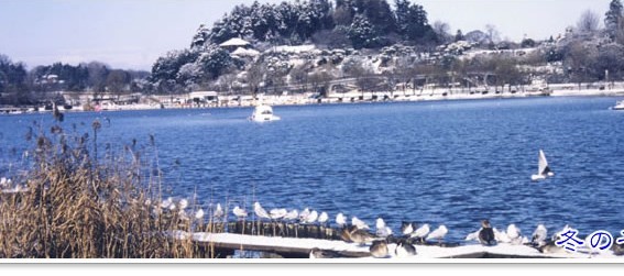千波湖