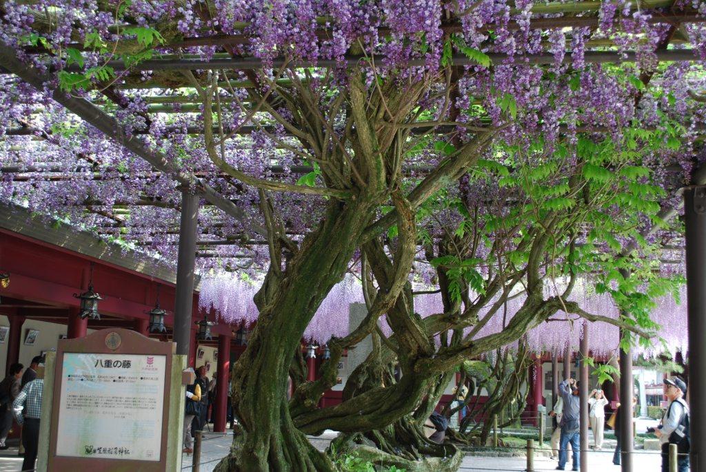 笠間稲荷神社