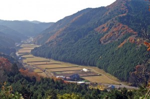 出典:http://www.morinoeki.jp/