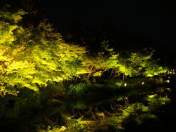 出典:plaza.rakuten.co.jp