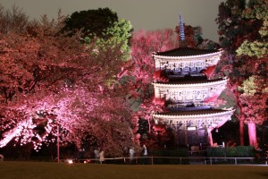 出典:ganref.jp