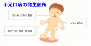 出典:http://fumi1012.com/