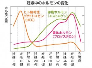 出典:http://www.kamiyutaka.com/
