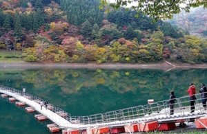 奥多摩 紅葉 ドラム缶橋