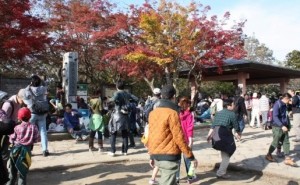 出典:http://mttakaomagazine.com/