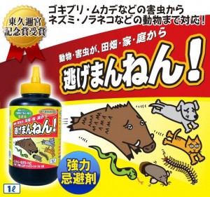 出典:http://item.rakuten.co.jp/
