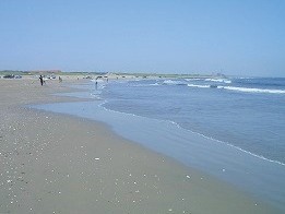 波崎海岸