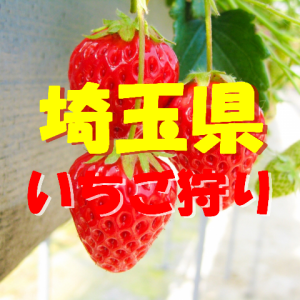 埼玉県いちご狩りおすすめ人気ランキング22 食べ放題や料金は 季節お役立ち情報局