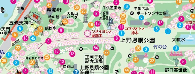 上野公園の中央園路周辺の桜マップ