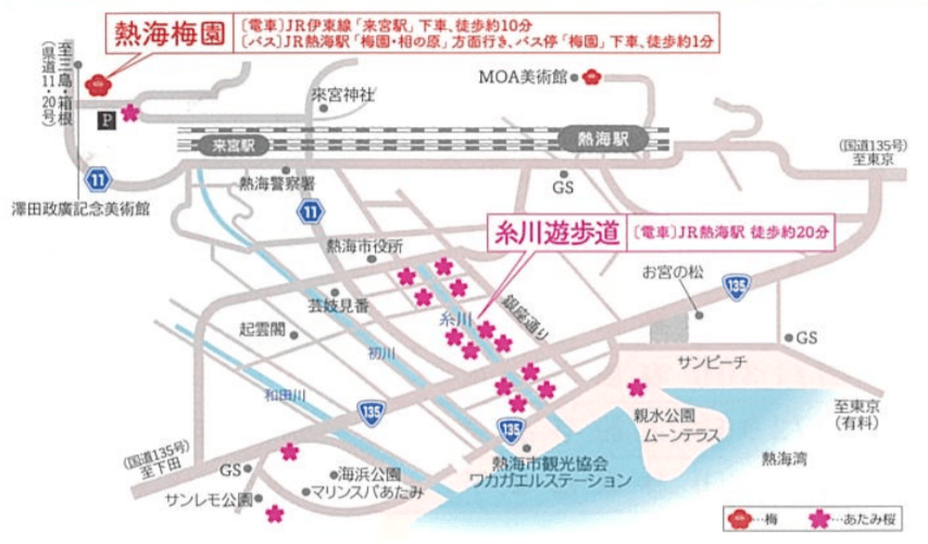 熱海梅園　糸川遊歩道桜まつりの地図