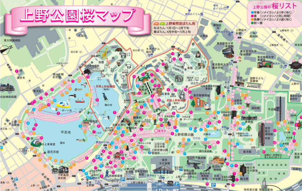 上野公園【お花見の場所取り】必勝法やコツは?平日、休日の時間帯は? 季節お役立ち情報局 上野公園【お花見の場所取り】必勝法やコツは?平日、休日の時間帯は? 季節お役立ち情報局