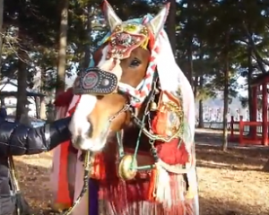 チャグチャグ馬コ　装束で着飾った馬