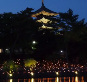 奈良燈花会　ライトアップされた興福寺