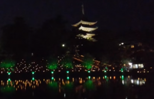 奈良燈花会　ライトアップされた猿沢池