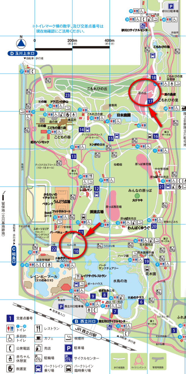 昭和記念公園　ひまわり畑地図