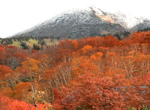 八甲田山の紅葉22 見頃の時期と混雑は おすすめスポットは 季節お役立ち情報局