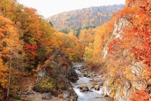 定山渓に広がる紅葉風景
