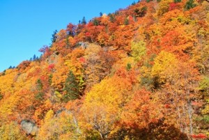 紅葉に覆われた定山渓と青空