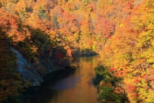定山渓　紅葉と川