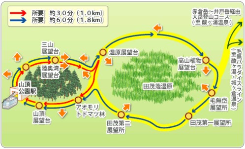 八甲田ゴードラインの散策地図