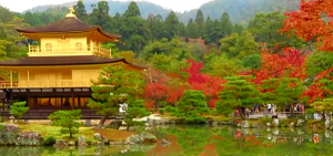 金閣寺と鮮やかに色付いた紅葉