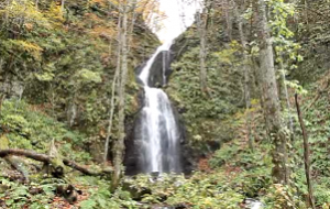 奥入瀬渓流　紅葉と雲井の滝