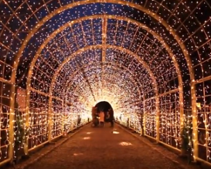 京都イルミエール　光のトンネル