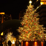 恵比寿ガーデンプレイス　イルミネーション　巨大クリスマスツリー
