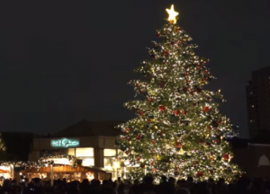 恵比寿ガーデンプレイス　巨大クリスマスツリー