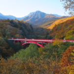 八ヶ岳　東沢大橋と紅葉