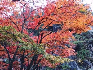 昇仙峡の紅葉
