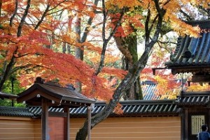 京都　金閣寺の紅葉