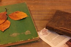 本と落ち葉　読書の秋イメージ