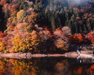 色とりどりの紅葉と湖