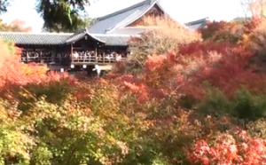 東福寺　臥雲橋と紅葉