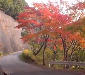 養老渓谷の遊歩道と紅葉
