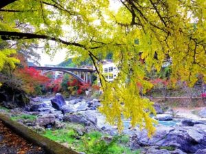 奥多摩　川辺の黄葉と紅葉