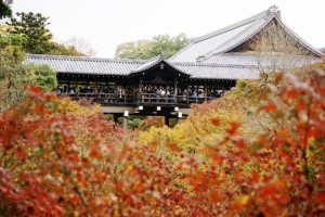 東福寺　通天橋と紅葉