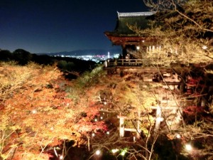 清水寺　夜景と紅葉ライトアップ