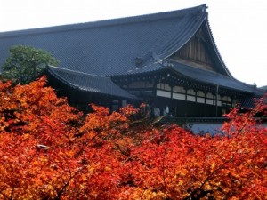 東福寺と鮮やかな紅葉