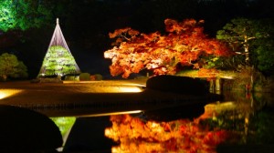 六義園　ライトアップで池に反射する紅葉とオブジェ