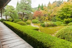 泉涌寺　雲龍院の庭園と紅葉