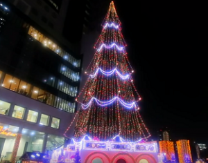 ドイツ・クリスマスマーケット　大阪　ツリーイルミネーション
