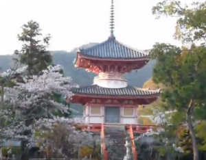 嵐山　大覚寺と桜