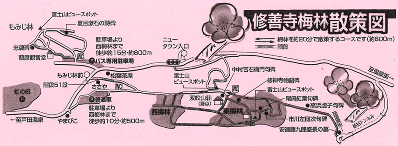 修善寺梅林　散策コースと駐車場の地図