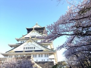 青空と大阪城と桜