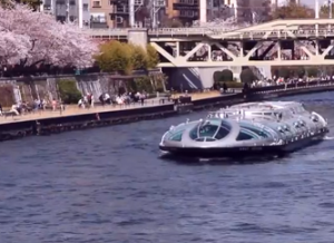 隅田公園　桜と水上バス