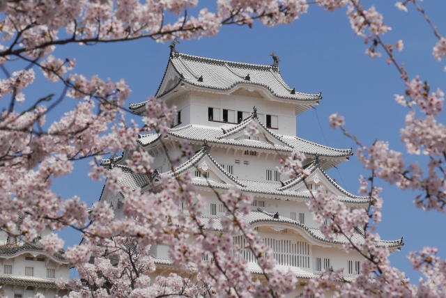 姫路城の桜21の見頃と開花 お花見スポットは 観桜会や夜桜会は 季節お役立ち情報局