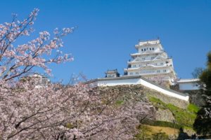 青空と姫路城と桜