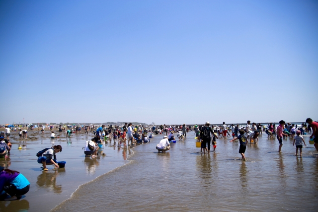 浜名湖の潮干狩り21 無料の穴場は 弁天島 村櫛 中之島 新居弁天 季節お役立ち情報局